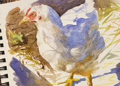 Animais em Aquarela - Curso Aquarela Animais em Aquarela - Curso Aquarela