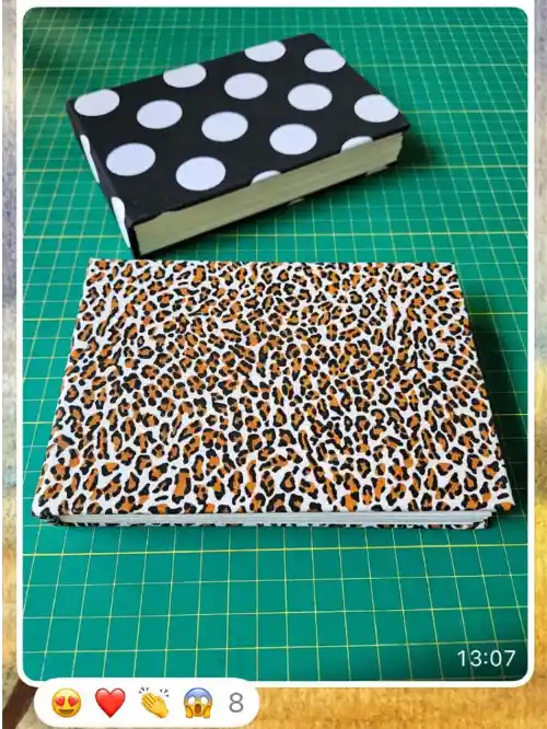 Sketchbooks (aula bônus) feito pela Nilva