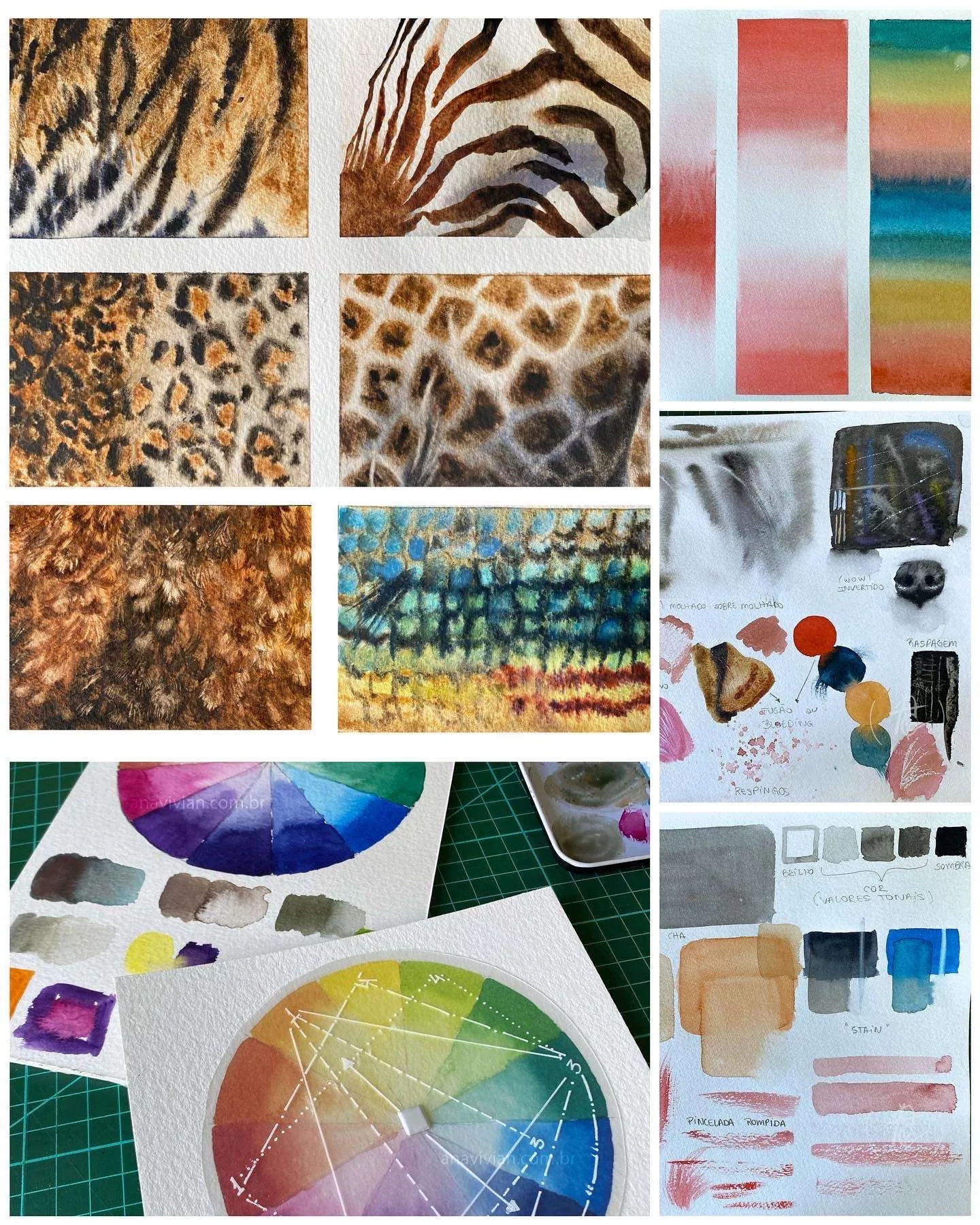 Animais em Aquarela - Curso Aquarela Animais em Aquarela - Curso Aquarela