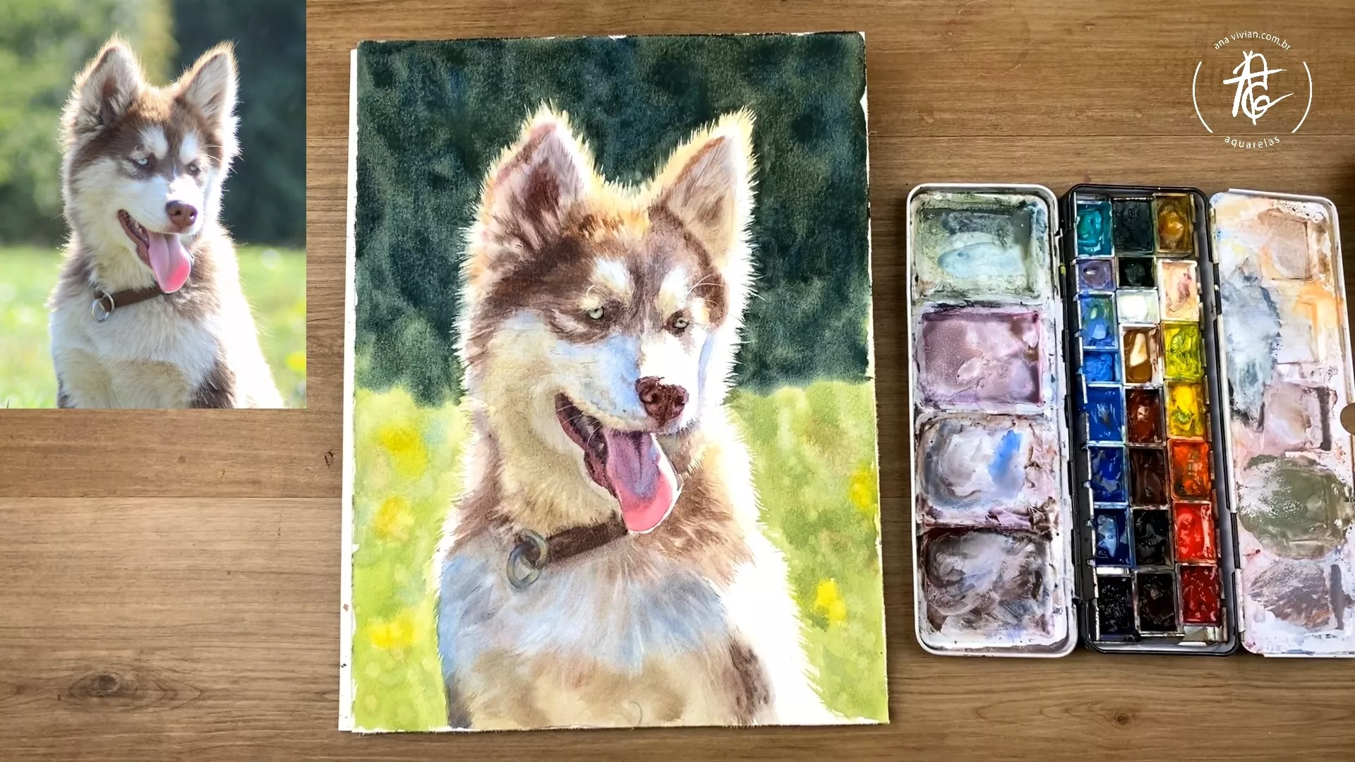 Animais em Aquarela - Curso Aquarela Animais em Aquarela - Curso Aquarela