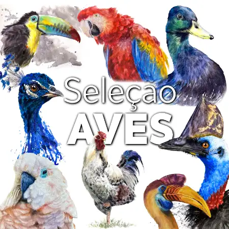 Meus Cursos Aquarela - Links anAVivian