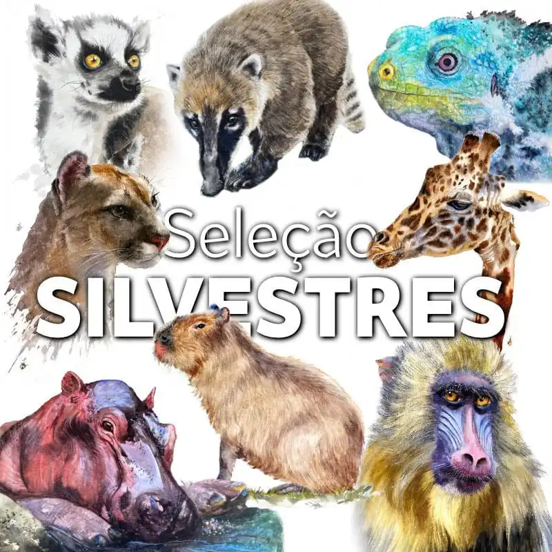 Seleção Aulas Silvestres em Aquarela - Curso Aquarela Seleção Aulas Silvestres em Aquarela - Curso Aquarela
