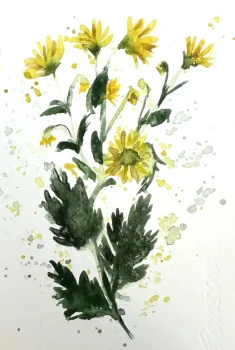 Curso Flores em Aquarela - Flor do campo - ramo