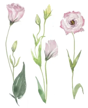 Curso Flores em Aquarela Lisiantus - Marcador de pagina