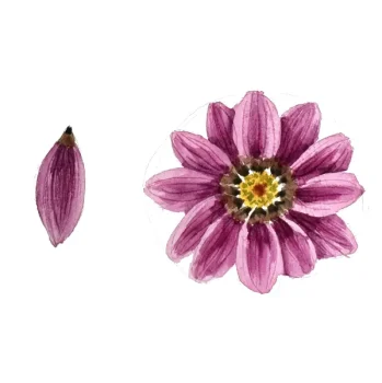 Aula 3 - Margarida Rosa - 13min